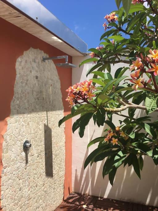 Villa Elloise Palermo Ngoại thất bức ảnh